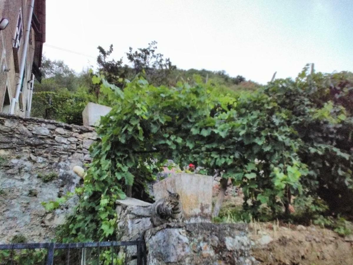 דירות ריקו דל גולפו די ספאציה Casa Quaratica מראה חיצוני תמונה